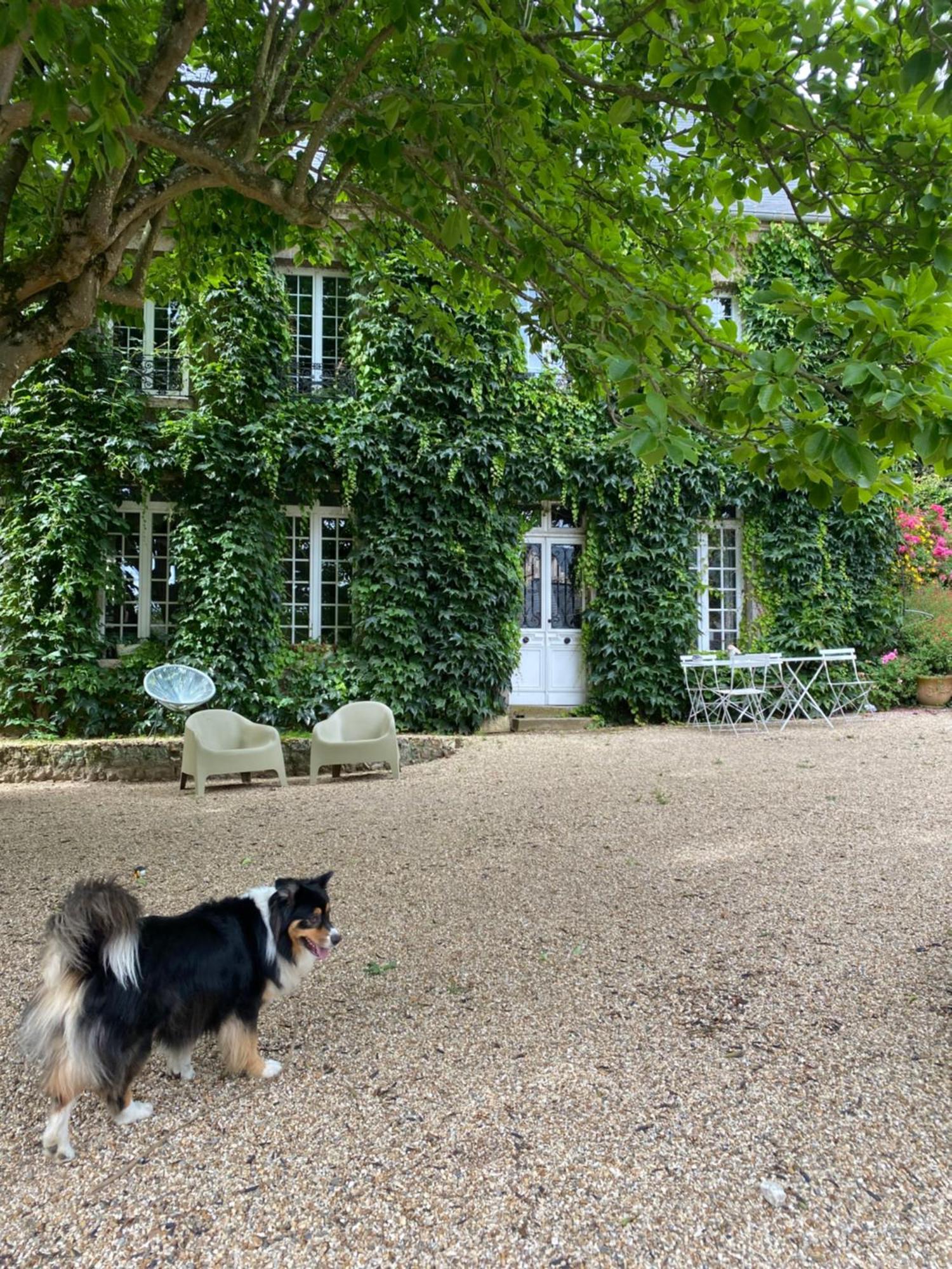 La Benjamine Cany-Barville Exterior foto